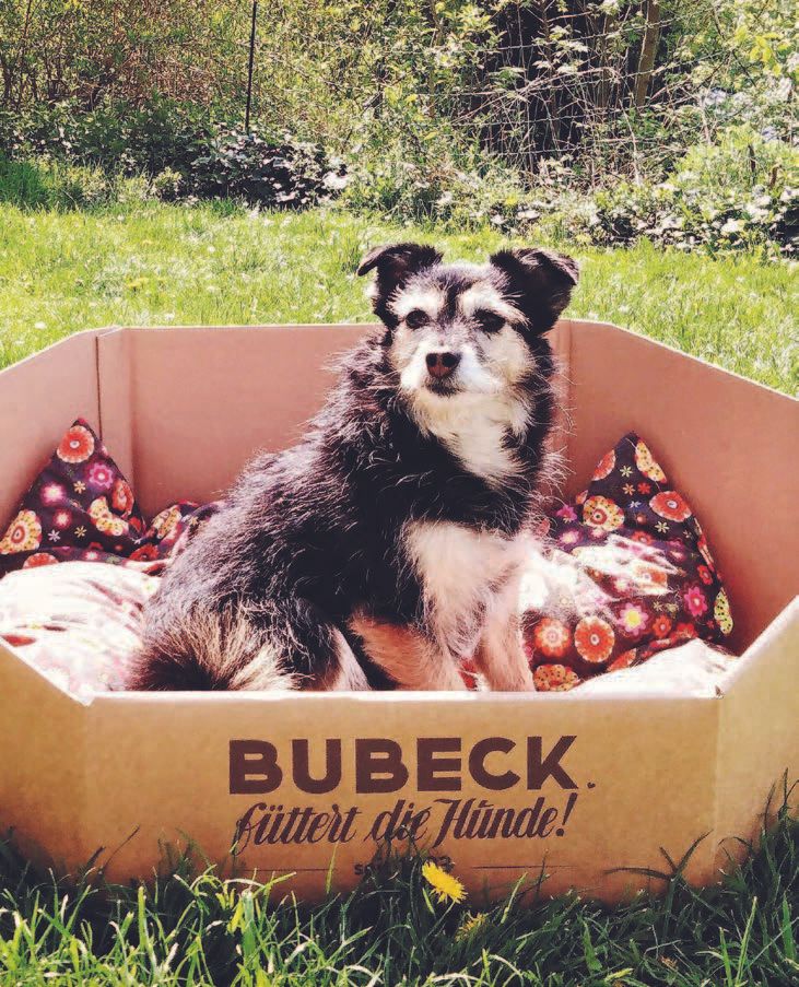 Versandbox für Hundeleckerli von Bubeck mit Hund